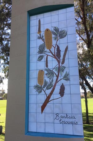 Workshed Mosaics - Banksia Tricuspis