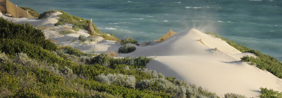 Beach dunes