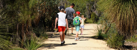 Family walking through bushland