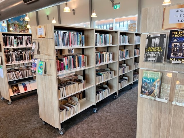 Clarkson library shelving