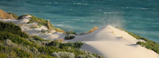Beach and sand dunes