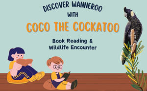 Image for Coco the Cockatoo book