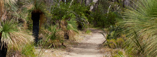 Yanchep PArk