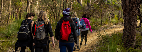 Group of people walking through bushland
