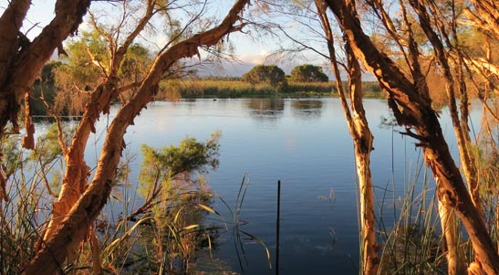 Wetlands in Wanneroo