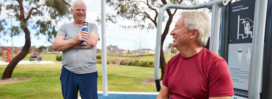 People using exercise equipment in park