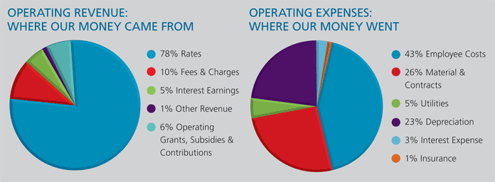 Financial Health Overview