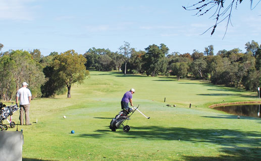 Golfers on course