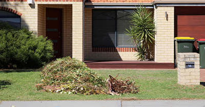 Image of greens waste