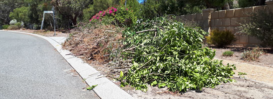 Image of greens waste awaiting collection
