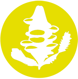 Gumblossom Trail icon