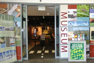 Museums