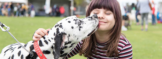 Dog and owner