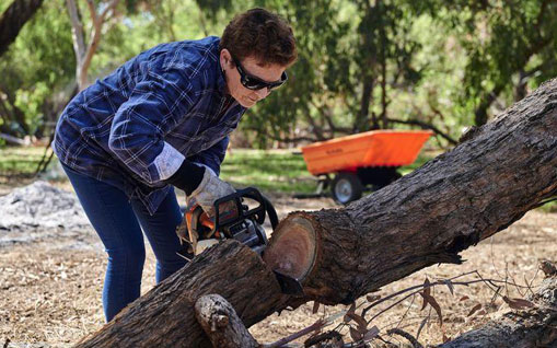 Women using chainsaw to cut tree