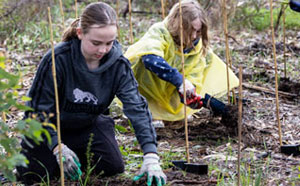 Children planting trees