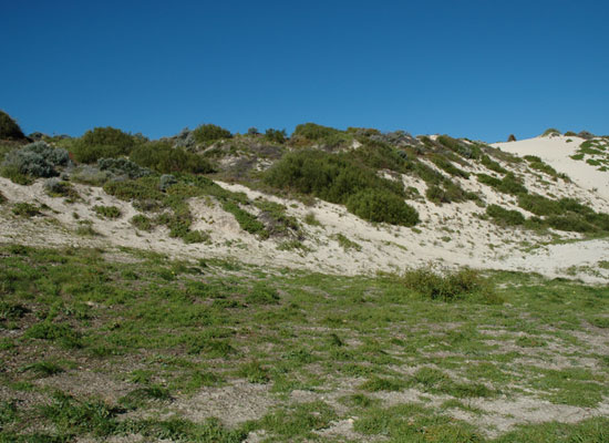 South mindarie trail