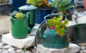 Kitchen implements used for plant pots