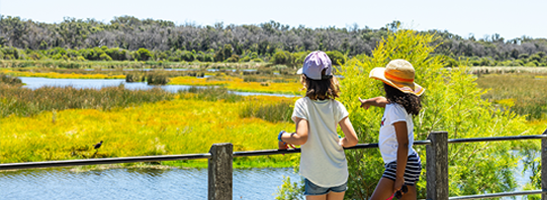 Two children looking over a lake and countryside