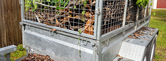 A trailer full of green waste
