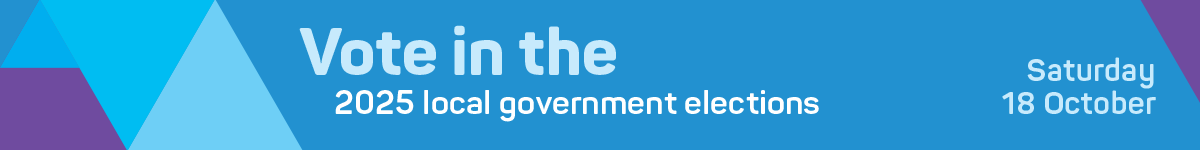 Web vote in the elections