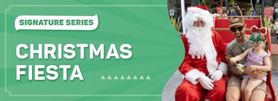 Image for Christmas Fiesta