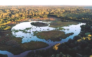 Wetlands