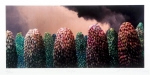 Storm Over Copse, Stuart Elliott. Acquired 2006, Print. 