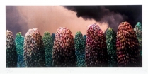 Storm Over Copse, Stuart Elliott. Acquired 2006, Print. 