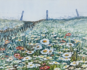 Roadside Flowers, J. Jordon. Acquired 1982, Watercolour