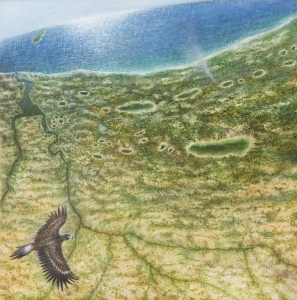 Mooro Boodja (Mooro Country) - Day, Alan Muller. Acquired 2012, Acrylic on Canvas