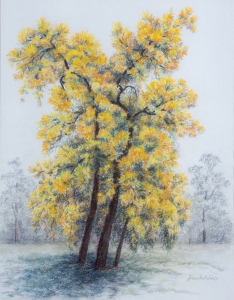 Christmas Trees, Alma Hotchkin. Acquired 1994, Pastels