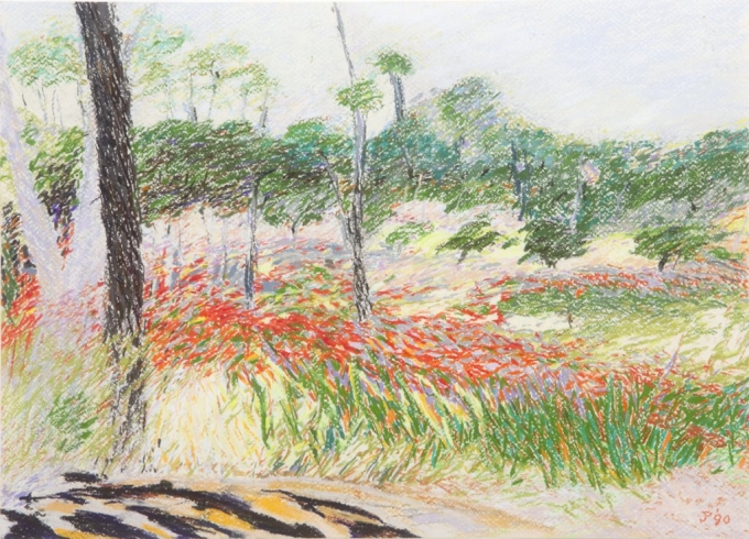 Watsonias, John Pascoe. Acquired 1992, Pastels