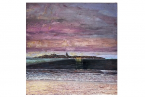 Seaforth McKenzies Cave Penguin Island, Michael Doherty. Acquired 2018. Oil on canvas