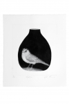 Nightjar, Kati Thamo. Acquired 2019. Etching