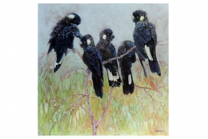 Carnaby's Roost, Ros Blackburn. Acquired 2019. Acrylic