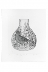 Preserving Parrot, Kati Thamo. Acquired 2019. Etching