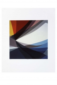 Lustre, Jennifer Goodman. Acquired 2020. Archival pigment print.