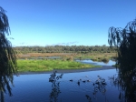 Lake McNess, Yanchep