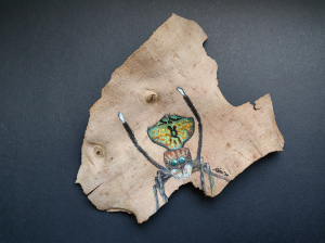Ai Chen Lee, 'Peacock Spider (Maratus Yanchep)'