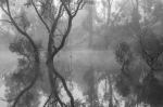 Audra de Pina, 'Be still'