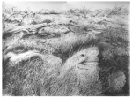 Linda Fardoe, 'Looking Up'