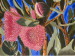 Lindel Young, 'Rose Mallee'