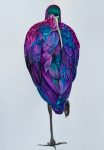 Maryana Chistol, 'Glossy Ibis'